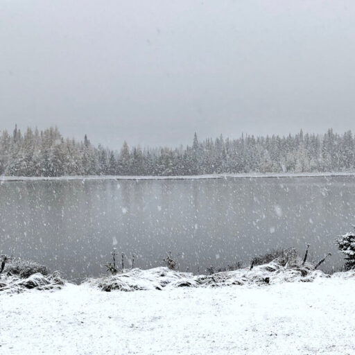 Chute de neige sur le lac Gravel